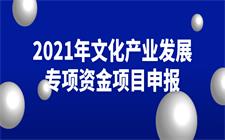 �������Ļ����������������֯��չ2021���Ļ���ҵ��չר���ʽ���Ŀ�걨